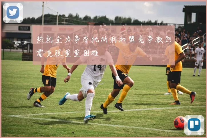 热刺全力争夺托纳利加盟竞争激烈需克服重重困难